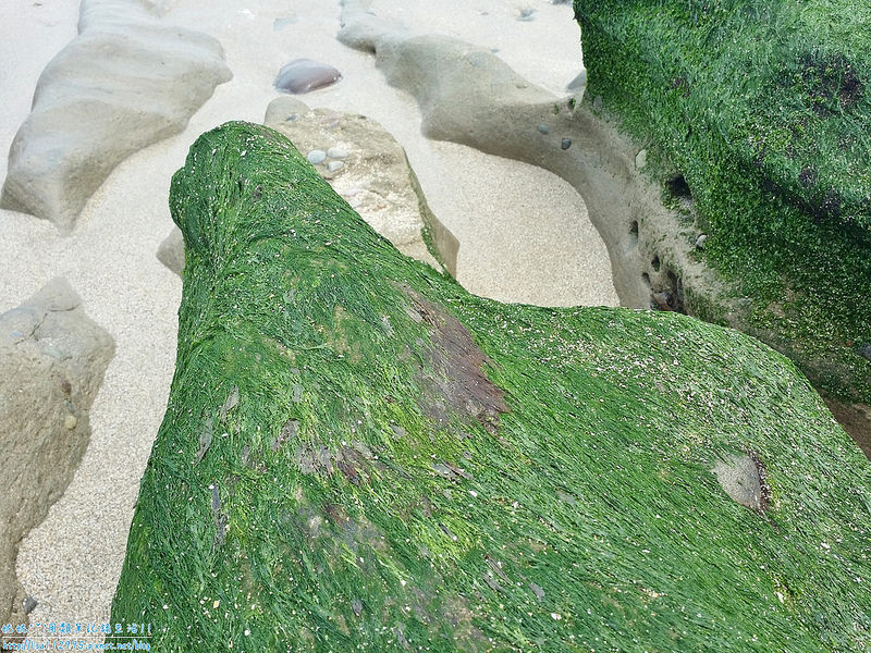 DSCN0787 (2000x1500)