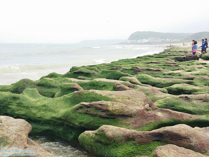 DSCN0784 (2000x1500)