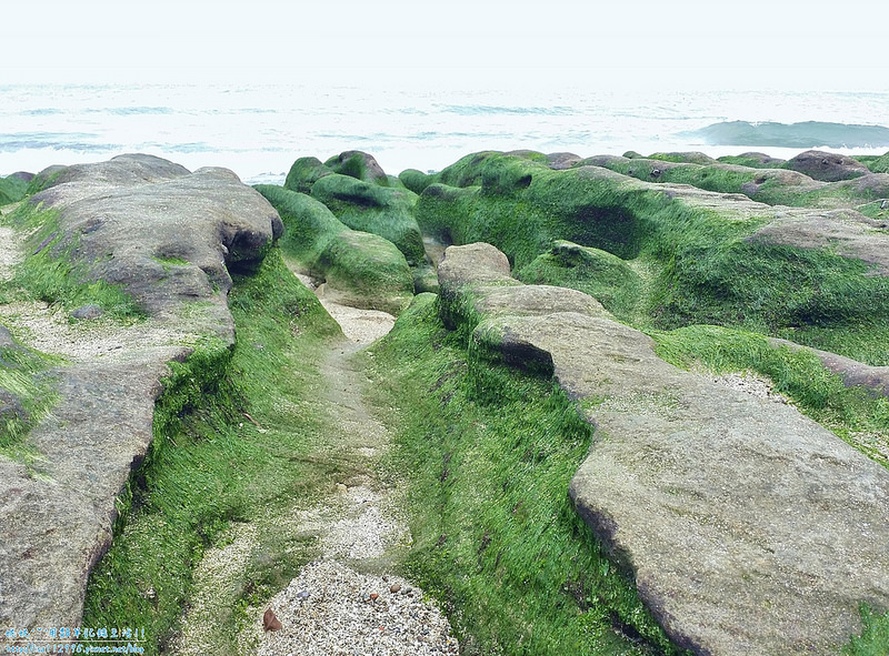 DSCN0794 (2000x1477)