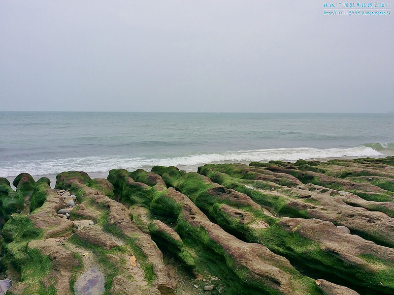 DSCN0780 (2000x1500)