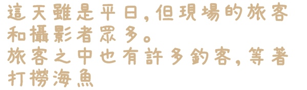 老梅綠石槽:【新北◍•ᴗ•◍石門】景點・北海岸老梅綠石槽✯婚紗拍攝景點|鑲嵌於老梅的祖母綠,期間限定翠綠海岸灘岩