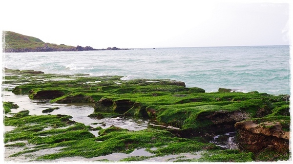 老梅綠石槽:【新北◍•ᴗ•◍石門】景點・北海岸老梅綠石槽✯婚紗拍攝景點|鑲嵌於老梅的祖母綠,期間限定翠綠海岸灘岩