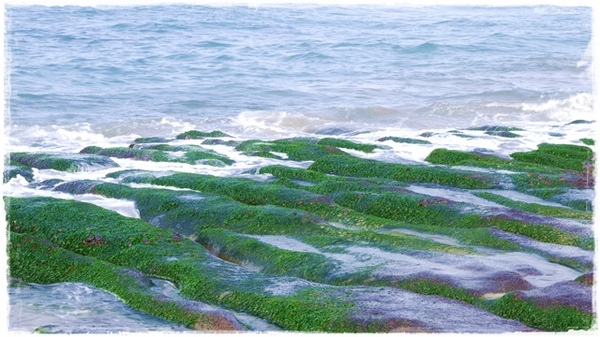 老梅綠石槽:【新北◍•ᴗ•◍石門】景點・北海岸老梅綠石槽✯婚紗拍攝景點|鑲嵌於老梅的祖母綠,期間限定翠綠海岸灘岩