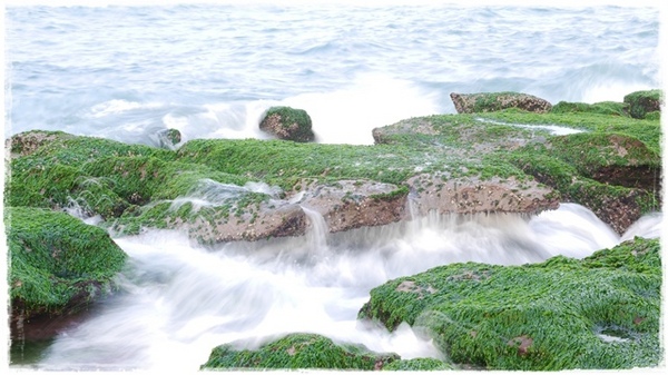 老梅綠石槽:【新北◍•ᴗ•◍石門】景點・北海岸老梅綠石槽✯婚紗拍攝景點|鑲嵌於老梅的祖母綠,期間限定翠綠海岸灘岩