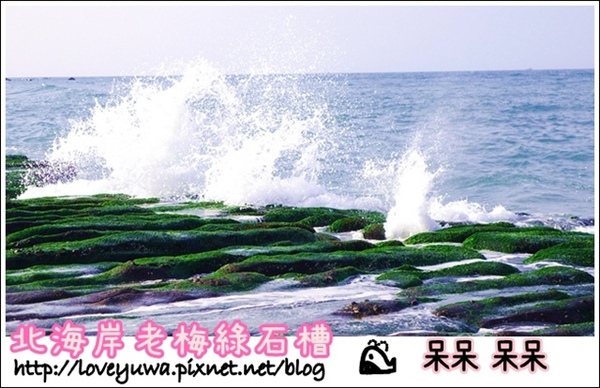 老梅綠石槽:【新北◍•ᴗ•◍石門】景點・北海岸老梅綠石槽✯婚紗拍攝景點|鑲嵌於老梅的祖母綠,期間限定翠綠海岸灘岩