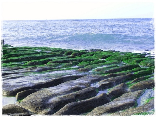 老梅綠石槽:【新北◍•ᴗ•◍石門】景點・北海岸老梅綠石槽✯婚紗拍攝景點|鑲嵌於老梅的祖母綠,期間限定翠綠海岸灘岩