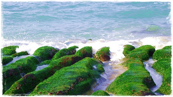 老梅綠石槽:【新北◍•ᴗ•◍石門】景點・北海岸老梅綠石槽✯婚紗拍攝景點|鑲嵌於老梅的祖母綠,期間限定翠綠海岸灘岩