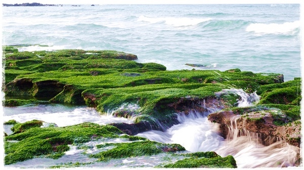 老梅綠石槽:【新北◍•ᴗ•◍石門】景點・北海岸老梅綠石槽✯婚紗拍攝景點|鑲嵌於老梅的祖母綠,期間限定翠綠海岸灘岩