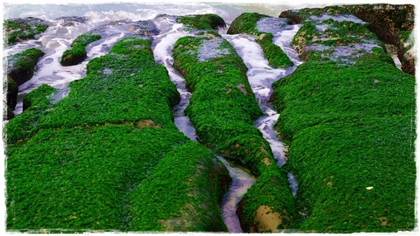 老梅綠石槽:【新北◍•ᴗ•◍石門】景點・北海岸老梅綠石槽✯婚紗拍攝景點|鑲嵌於老梅的祖母綠,期間限定翠綠海岸灘岩