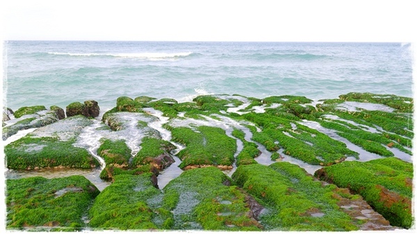 老梅綠石槽:【新北◍•ᴗ•◍石門】景點・北海岸老梅綠石槽✯婚紗拍攝景點|鑲嵌於老梅的祖母綠,期間限定翠綠海岸灘岩