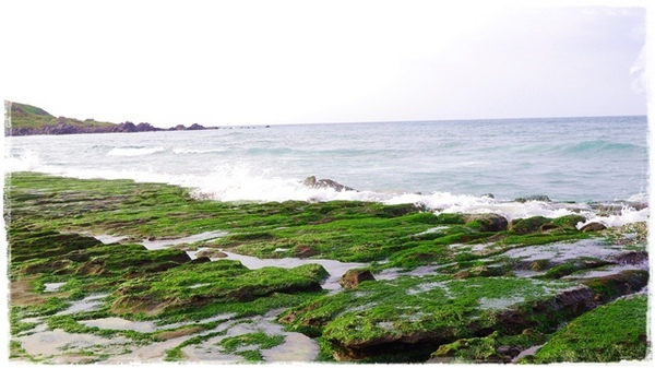 老梅綠石槽:【新北◍•ᴗ•◍石門】景點・北海岸老梅綠石槽✯婚紗拍攝景點|鑲嵌於老梅的祖母綠,期間限定翠綠海岸灘岩