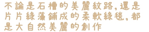 老梅綠石槽:【新北◍•ᴗ•◍石門】景點・北海岸老梅綠石槽✯婚紗拍攝景點|鑲嵌於老梅的祖母綠,期間限定翠綠海岸灘岩