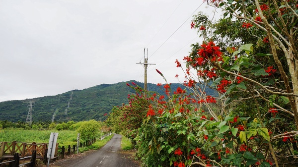 光復紅瓦屋餐廳：花蓮光復 - 鐵馬遊馬太鞍 vs 紅瓦屋餐廳: 原民風味石頭火鍋