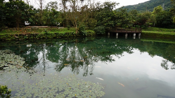 光復紅瓦屋餐廳：花蓮光復 - 鐵馬遊馬太鞍 vs 紅瓦屋餐廳: 原民風味石頭火鍋