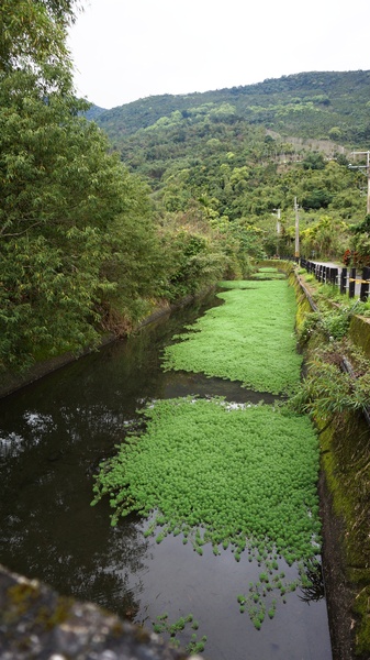 光復紅瓦屋餐廳：花蓮光復 - 鐵馬遊馬太鞍 vs 紅瓦屋餐廳: 原民風味石頭火鍋