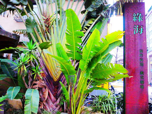 宜蘭綠海咖啡：【宜蘭】〝綠海 〞簡餐店，用心、貼心、細心，讓客人吃得放心、安心、開心！！