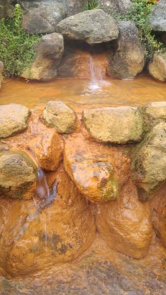 陽明山冷水坑：【台北旅遊】陽明山冷水坑泡腳趣