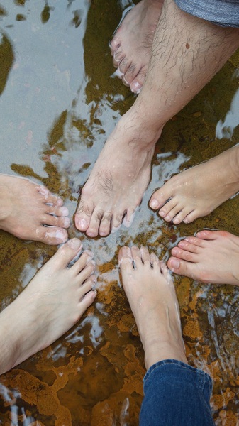 陽明山冷水坑：【台北旅遊】陽明山冷水坑泡腳趣