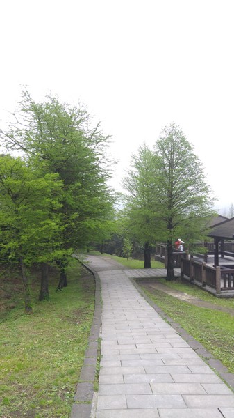 陽明山冷水坑:【台北旅遊】冷水坑趴趴走之牛奶湖、菁山吊橋與冷水坑生態池