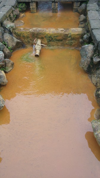 陽明山冷水坑：【台北旅遊】陽明山冷水坑泡腳趣