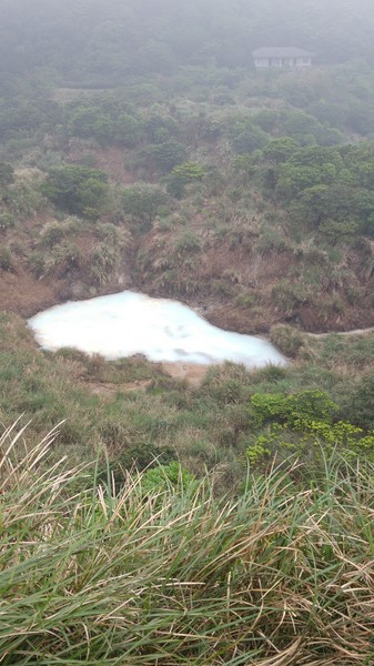 陽明山冷水坑:【台北旅遊】冷水坑趴趴走之牛奶湖、菁山吊橋與冷水坑生態池