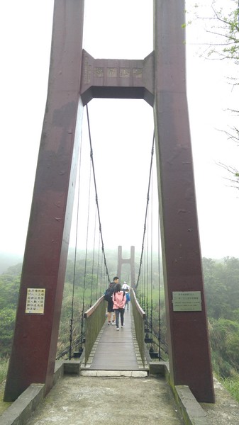 陽明山冷水坑:【台北旅遊】冷水坑趴趴走之牛奶湖、菁山吊橋與冷水坑生態池