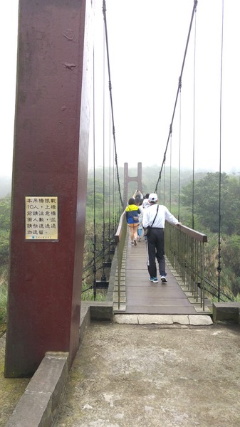 陽明山冷水坑:【台北旅遊】冷水坑趴趴走之牛奶湖、菁山吊橋與冷水坑生態池