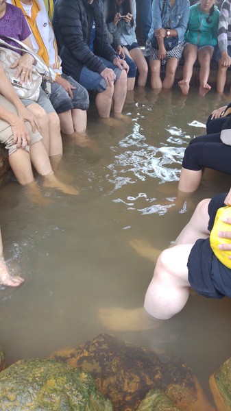 陽明山冷水坑：【台北旅遊】陽明山冷水坑泡腳趣