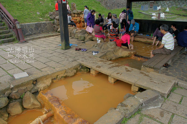 陽明山冷水坑芒花