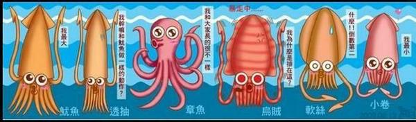 饗宴食坊：宜蘭「饗宴互動式鐵板燒」輕鬆自在的在地饗宴