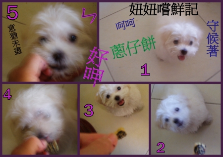 益得食品：瘋體驗[蔥仔餅]~妞妞說金好呷