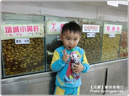 順進蜜餞行：【宜蘭行】第二站：順進蜜餞行《吃很大》