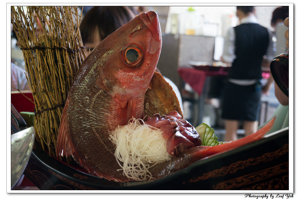 葉影瓶像版權所有