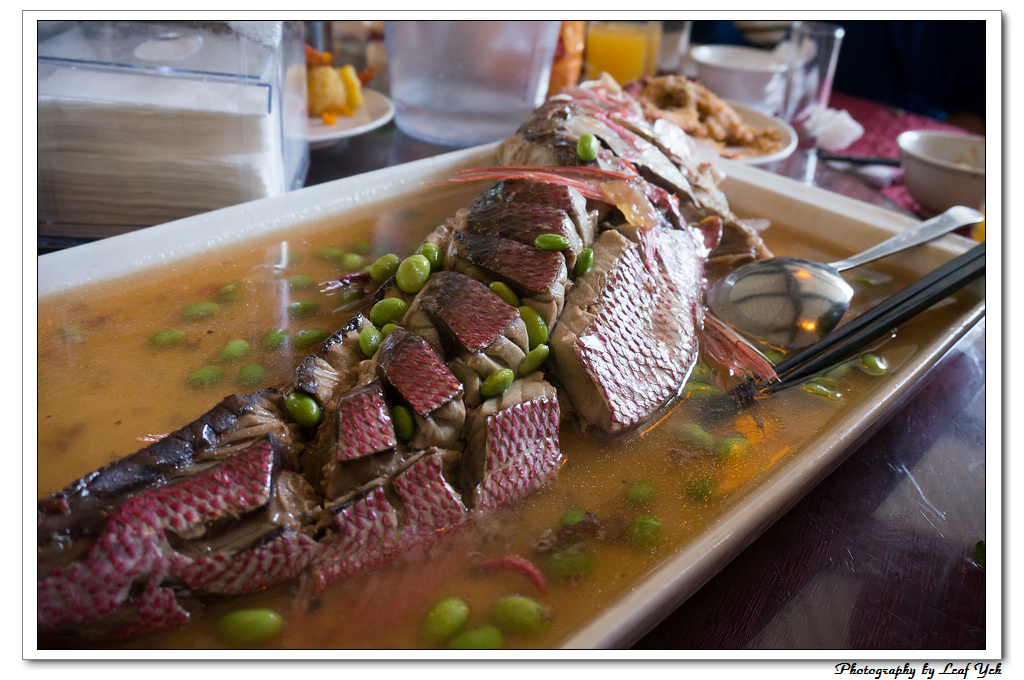 葉影瓶像版權所有