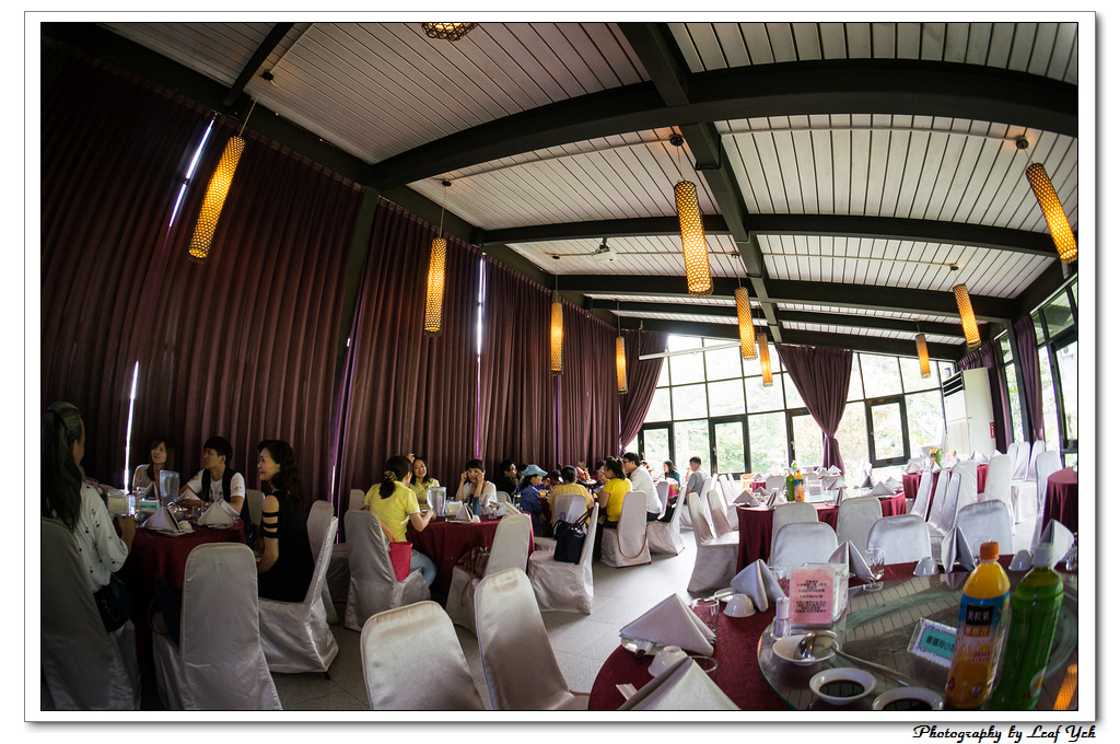 葉影瓶像版權所有