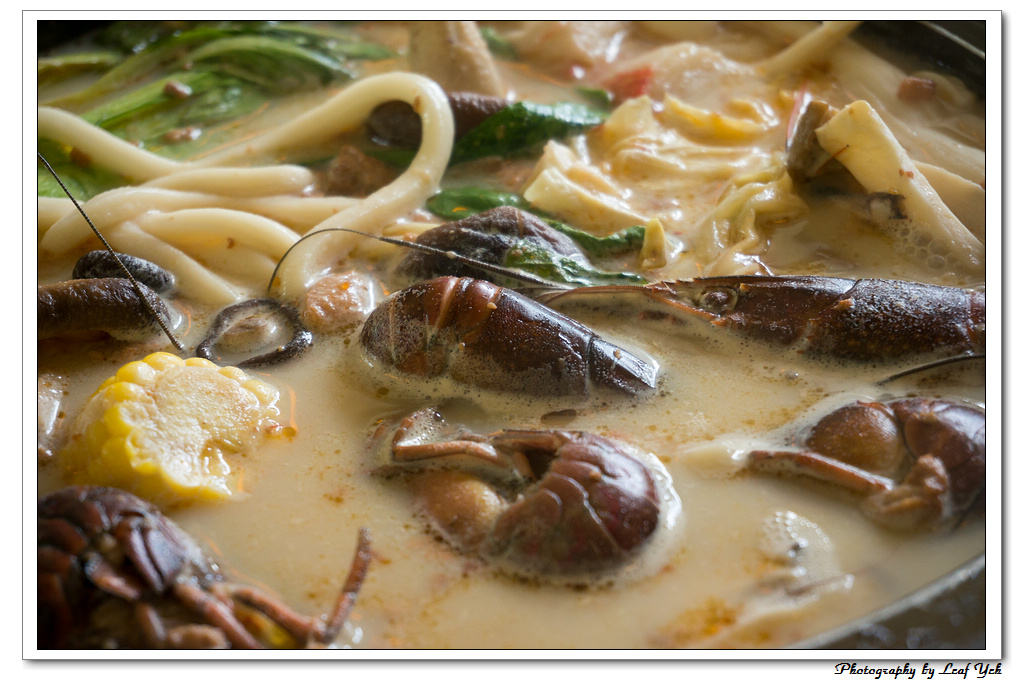 葉影瓶像版權所有