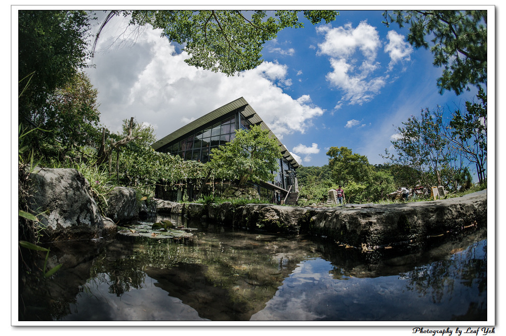 葉影瓶像版權所有