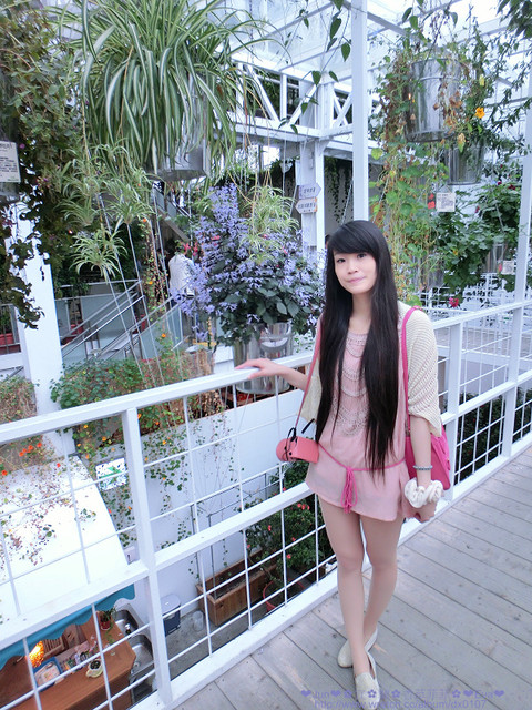 香草菲菲芳香植物博物館:【食記】oO。。宜蘭 香草菲菲 超美超夢幻的花園,在這用餐,簡直是人間仙境啊!。o○。