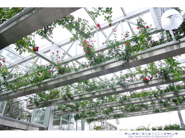 香草菲菲芳香植物博物館:【食記】oO。。宜蘭 香草菲菲 超美超夢幻的花園,在這用餐,簡直是人間仙境啊!。o○。