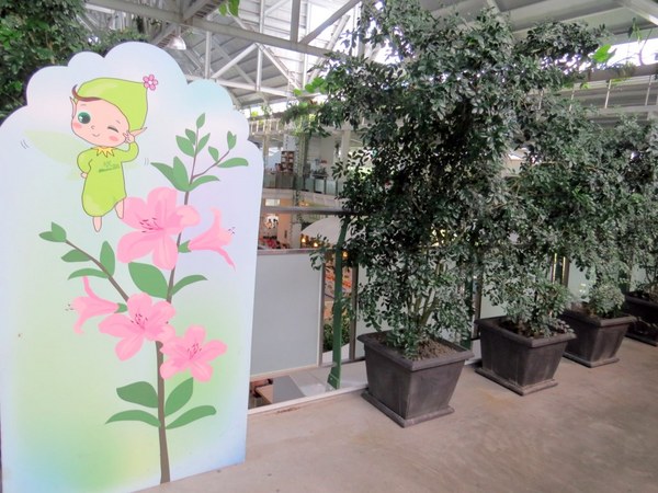 香草菲菲芳香植物博物館:香入菲菲的香草菲菲【宜蘭/香草菲菲】