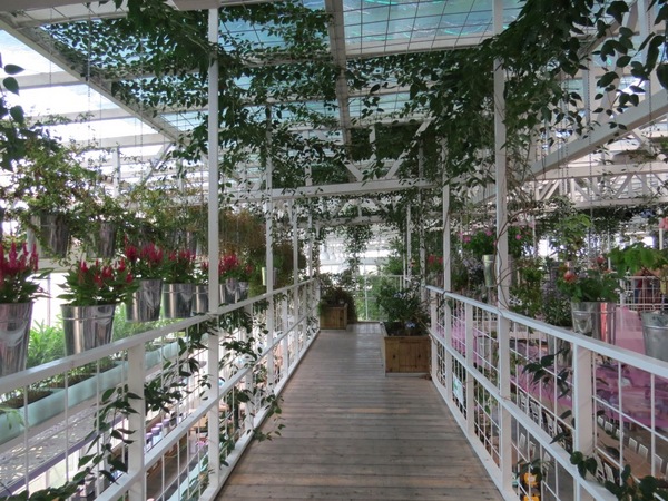 香草菲菲芳香植物博物館:香入菲菲的香草菲菲【宜蘭/香草菲菲】