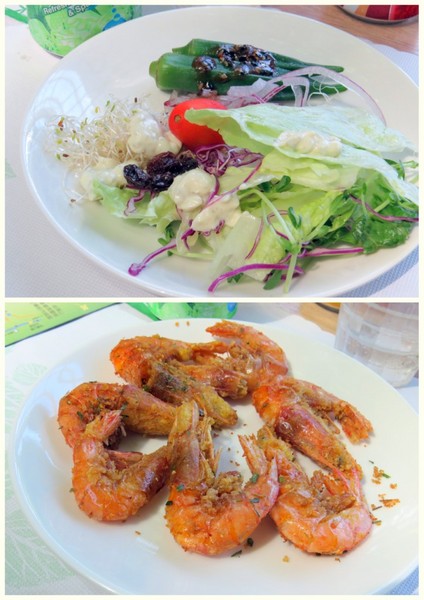 香草菲菲芳香植物博物館:香入菲菲的香草菲菲【宜蘭/香草菲菲】