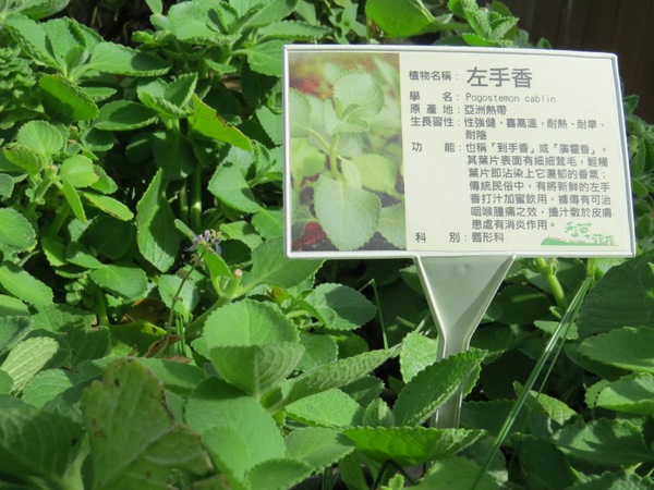 香草菲菲芳香植物博物館:香入菲菲的香草菲菲【宜蘭/香草菲菲】