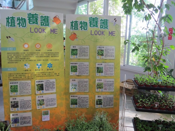 香草菲菲芳香植物博物館:香入菲菲的香草菲菲【宜蘭/香草菲菲】