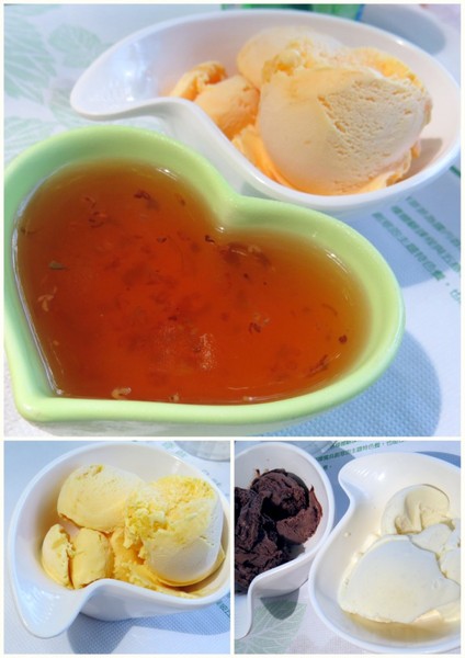 香草菲菲芳香植物博物館:香入菲菲的香草菲菲【宜蘭/香草菲菲】