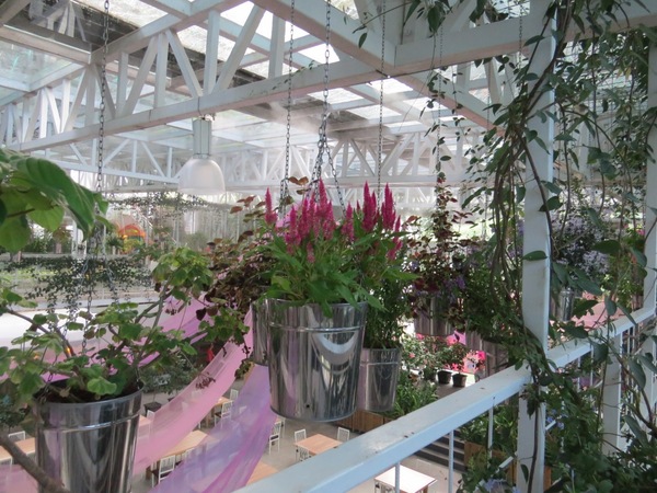 香草菲菲芳香植物博物館:香入菲菲的香草菲菲【宜蘭/香草菲菲】