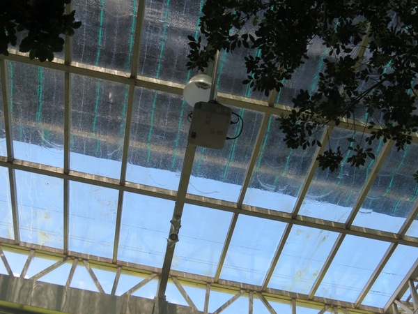 香草菲菲芳香植物博物館:香入菲菲的香草菲菲【宜蘭/香草菲菲】