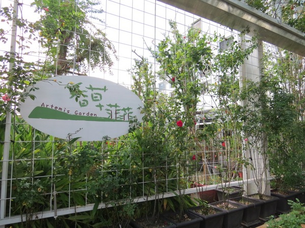 香草菲菲芳香植物博物館:香入菲菲的香草菲菲【宜蘭/香草菲菲】