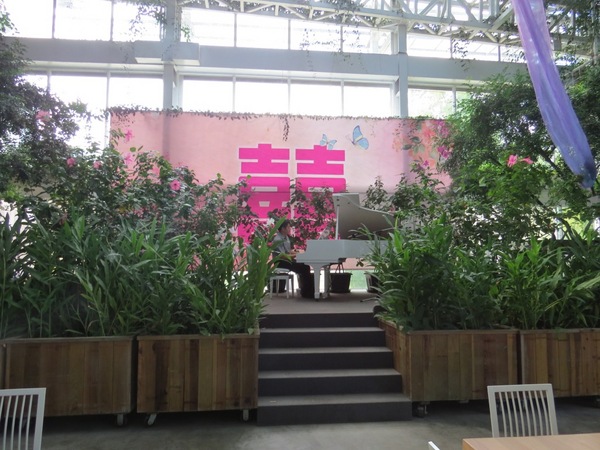 香草菲菲芳香植物博物館:香入菲菲的香草菲菲【宜蘭/香草菲菲】