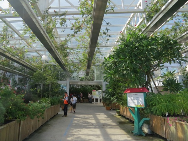 香草菲菲芳香植物博物館:香入菲菲的香草菲菲【宜蘭/香草菲菲】